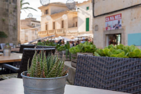 Close-up of a cactus on the terrace table of a coffee shop with no customers. In the background, out...