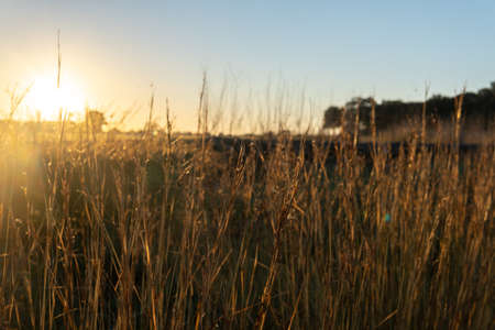 Landscape at sunrise on a sunny winter day. Island of Majorca, Spain