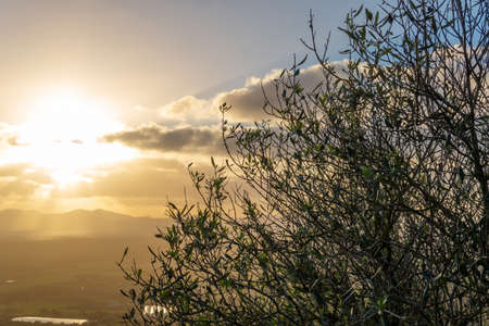 Landscape of the interior of the island of Mallorca on a sunny winter morning, Spainの写真素材