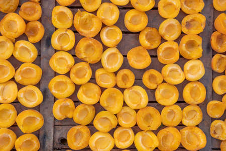 Annual apricot fair held in the Majorcan town of Porreres, Spain. Apricots cut in half prepared to...