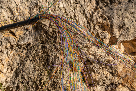 Close-up of an internet fiber supply cable snapped by a windstorm in a forest on the island of...