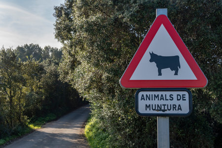 Vertical traffic sign indicating the danger of farm animals on the road. Island of Majorca, Spainの写真素材
