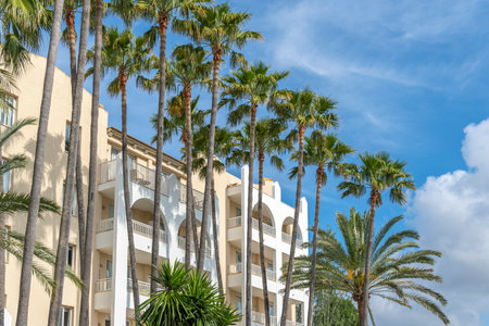 Sa Coma, Spain; June 03 2023: Main facade of the hotel Protur Safari Park in the Majorcan tourist resort of Sa Coma, Spainのeditorial素材