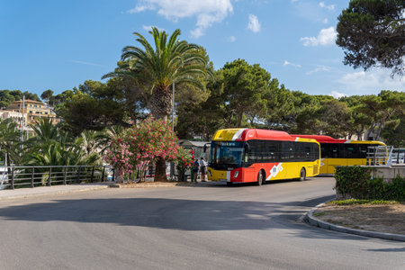 Porto Cristo, Spain; july 01 2023: Buses of the public company TIB parked at a bus stop in the tourist town of Porto Cristo, island of Mallorca, Spainのeditorial素材