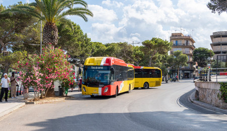 Porto Cristo, Spain; july 01 2023: Buses of the public company TIB parked at a bus stop in the tourist town of Porto Cristo, island of Mallorca, Spainのeditorial素材