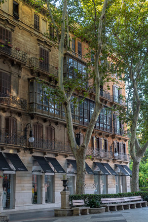 Palma de Mallorca, Spain; august 06 2023: General view of Passeig de's Born in the historic center of the city of Palma de Mallorca at sunrise. spainのeditorial素材