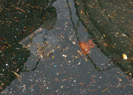Close-up of the reflection of the sea in a harbor with pieces of plastic and seaweed. Conceptual image of marine pollutionの写真素材