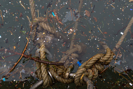Close-up of the reflection of the sea in a harbor with pieces of plastic and seaweed. Conceptual image of marine pollutionの写真素材