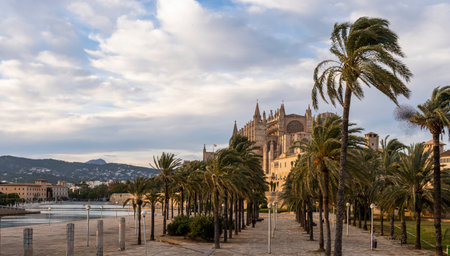 General view of the cathedral of Palma de Mallorca at sunset on a sunny winter day. Island of Mallorca, Spainの写真素材