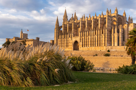 General view of the cathedral of Palma de Mallorca at sunset on a sunny winter day. Island of Mallorca, Spainの写真素材