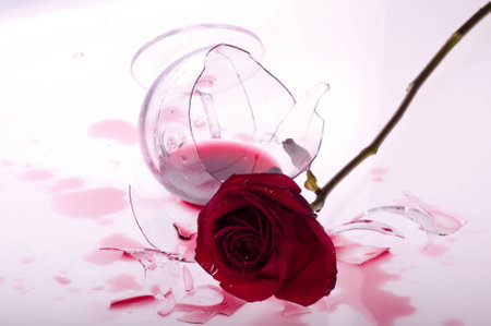 rose and wine glasの写真素材