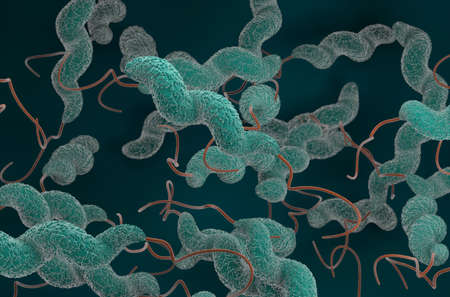 Campylobacter jejuni bacteria 3d render illustrationの写真素材