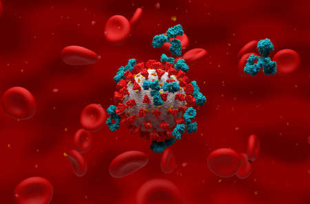 Activated antibody attack Covid-19 coronavirus around red blood cells 3d illustrationの写真素材