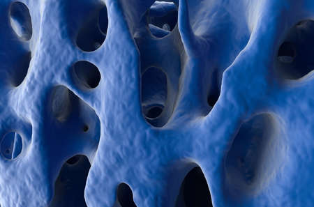 Normal bone structure (healthy bone cortex) - isometric view 3d illustrationの写真素材