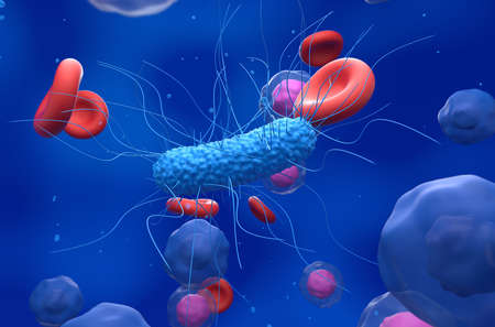 General bacteria in the blood flow - closeup view 3d illustrationの写真素材