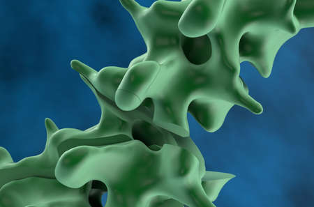 Fractured spine in osteoporosis - closeup view 3d illustration