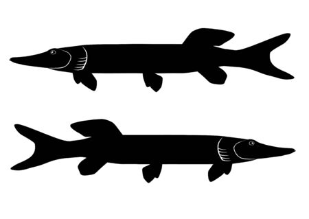 Two silhouettes of the pike on white backgroundのイラスト素材