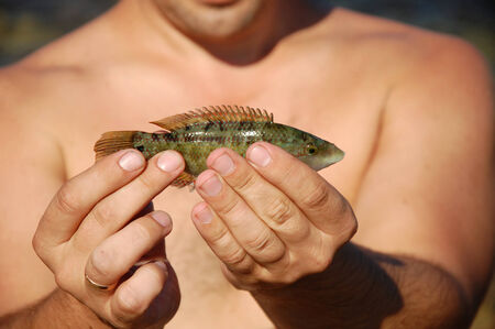 A little fish in the man's hands close up at bright summer day