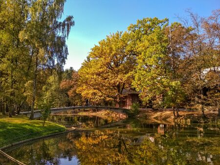 Autumn parkの写真素材