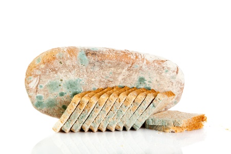 moldy bread isolated on white backgroundの写真素材