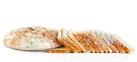 moldy bread isolated on white backgroundの写真素材