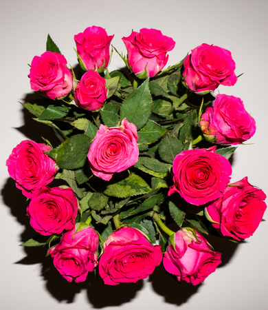 flowers. red roses beautyの写真素材
