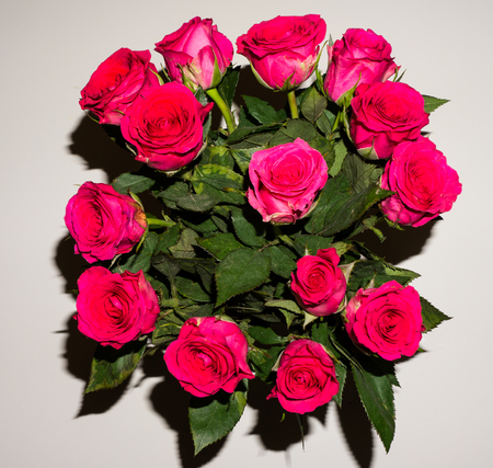 flowers. red roses beautyの写真素材