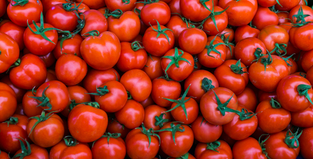group of red ripe tomatoesの写真素材