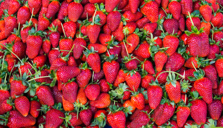 red strawberry. backgroundの写真素材