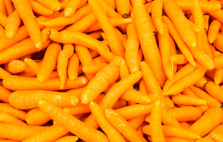 organic food carrot. backgroundの写真素材
