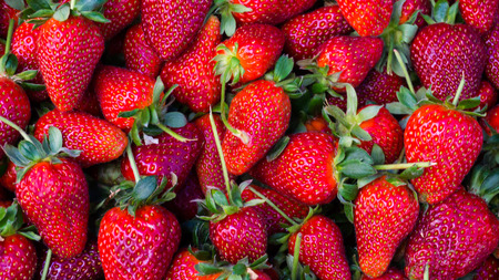red strawberry. backgroundの写真素材