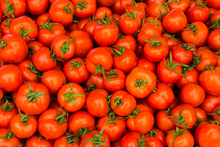 group of red ripe tomatoesの写真素材