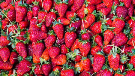 red strawberry. backgroundの写真素材
