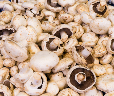mushroom champignon. food backgroundの写真素材