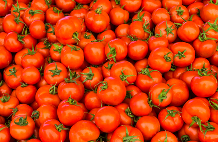 group of red ripe tomatoesの写真素材