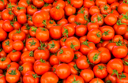 group of red ripe tomatoesの写真素材