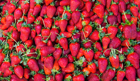 red strawberry. backgroundの写真素材