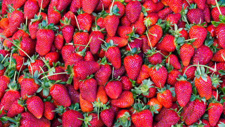 red strawberry. backgroundの写真素材