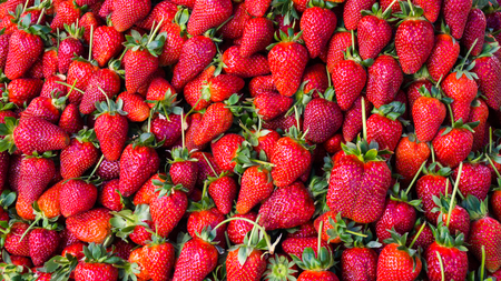 red strawberry. backgroundの写真素材