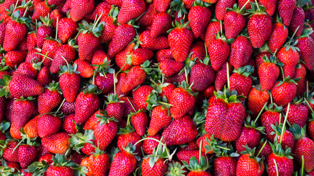 red strawberry. backgroundの写真素材