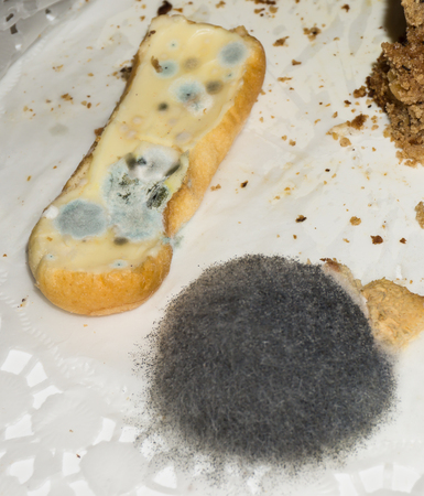 mouldy food.danger for lifeの写真素材