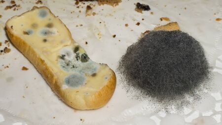 mouldy food.danger for lifeの写真素材