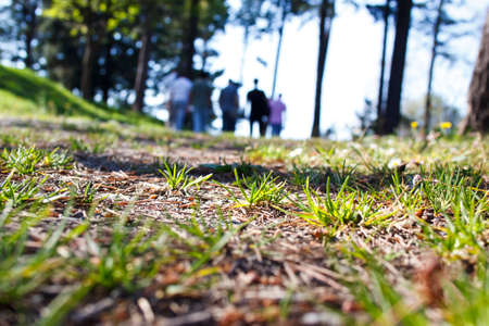 A group of friends leaving a park after a day off.の写真素材