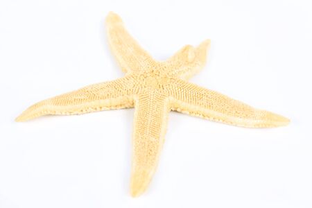 Overhead view of a starfish isolated on white background.の写真素材