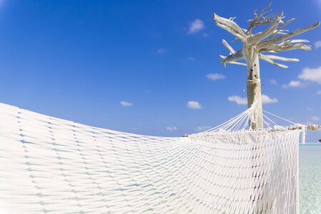 Hammock hold by white tree in a shallow and clear sea.の写真素材
