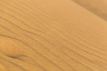 Background of the desert with a deep of field of the stripes made by the wind.