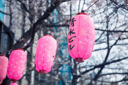 Japanese lantern in a rowの写真素材