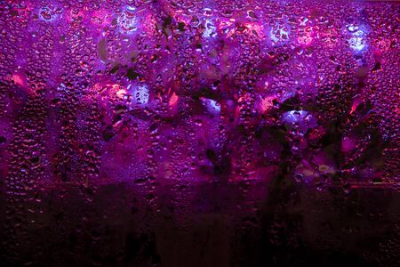 Professional light for growing. Best LED Grow Lights for Cannabis.の写真素材