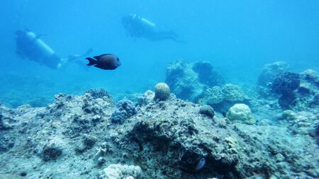 South China, or the East Sea, under water