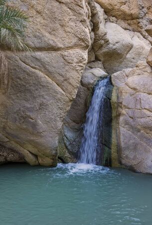 a small waterfall, a stream located in an oasisの写真素材